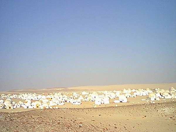 Wide desert landscape with rows of small white domed structures under a clear blue sky, sandy tan and white tones